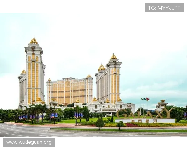 澳门银河娱乐集团有限公司的企业社会责任项目及其对社会形象的积极塑造