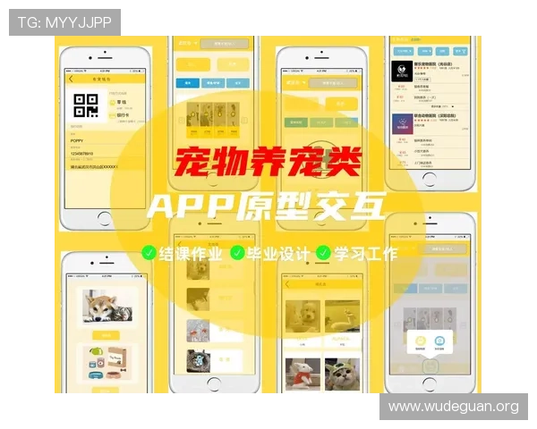 海洋之神官网app宠物养成指南，培养强力宠物助你在海战中取胜