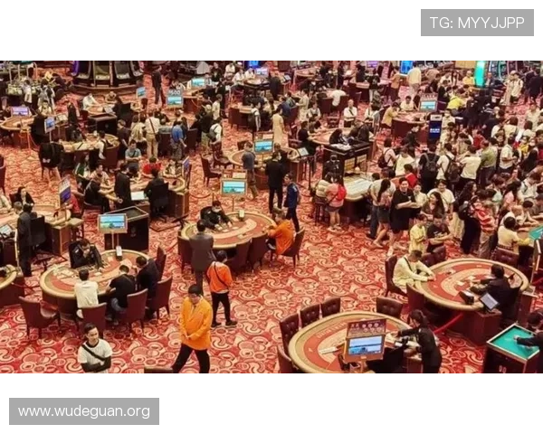 澳门10亿赌博事件对当地经济和社会稳定的影响全面解析 澳门10亿赌博事件对当地经济和社会稳定的影响全面解析
